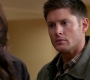 SPN_0977.jpg