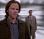 SPN_1191.jpg