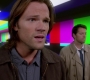 SPN_1271.jpg