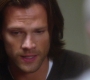 Filename=SPN_1395.jpg
Filesize=57KiB
Dimensions=1280x720
Date added=Sep 30, 2021 SPN_1395.jpg