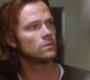 Filename=SPN_1407.jpg
Filesize=59KiB
Dimensions=1280x720
Date added=Sep 30, 2021 SPN_1407.jpg