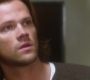 Filename=SPN_1415.jpg
Filesize=54KiB
Dimensions=1280x720
Date added=Sep 30, 2021 SPN_1415.jpg