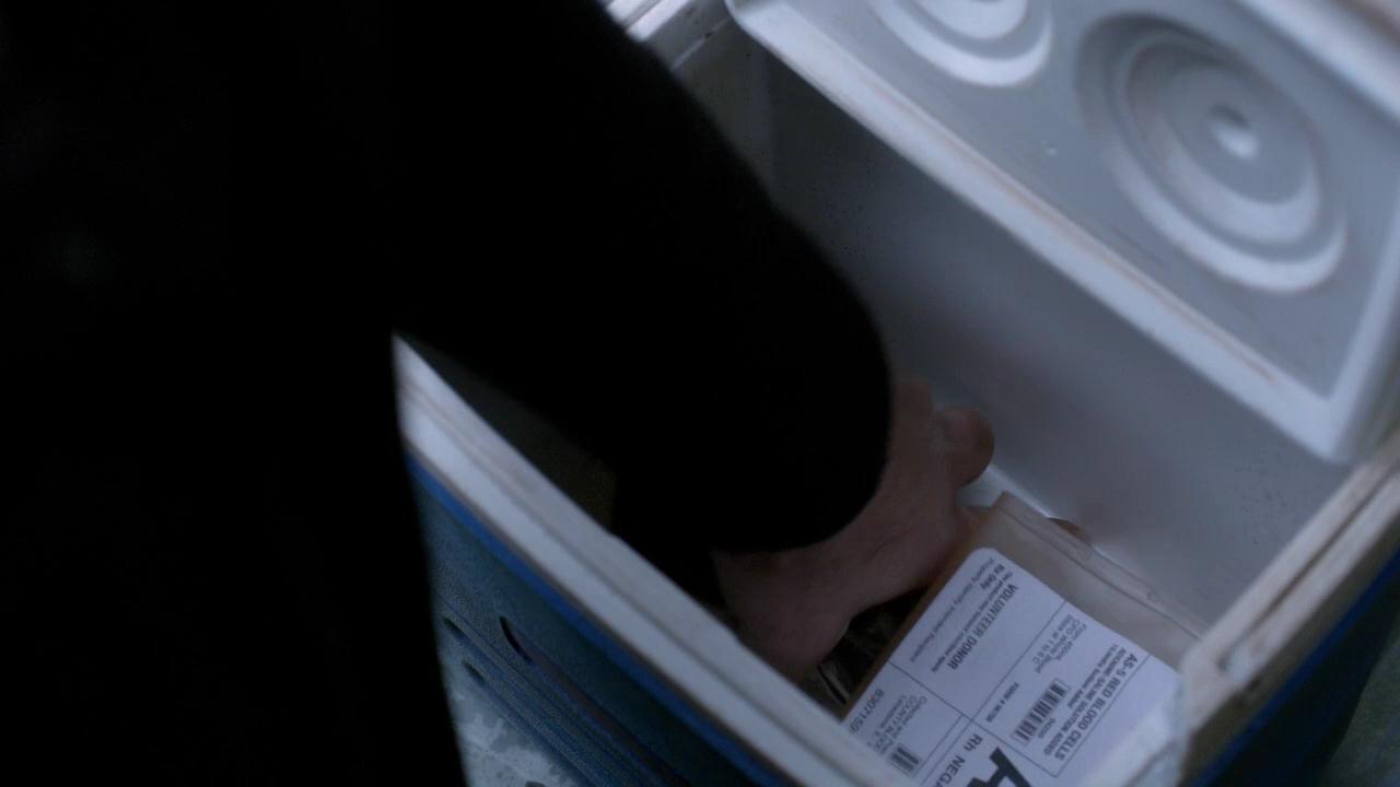 SPN_1280.jpg