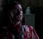 SPN_0036.jpg
