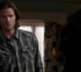 SPN_0313.jpg