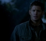 SPN_0781.jpg