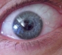 Filename=SPN_1038.jpg
Filesize=76KiB
Dimensions=1280x720
Date added=Sep 30, 2021 SPN_1038.jpg