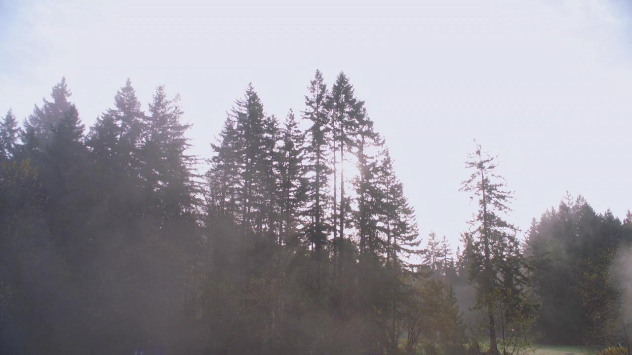 SPN_1447.jpg