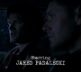 SPN_0061.jpg