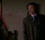 SPN_0166.jpg