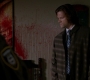 SPN_0176.jpg