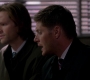 SPN_0239.jpg