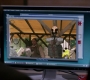 SPN_0364.jpg