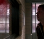 SPN_0404.jpg