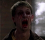 SPN_0407.jpg