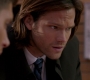 SPN_0443.jpg