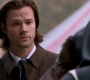 SPN_0500.jpg