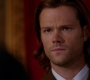 SPN_0719.jpg