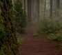 SPN_0974.jpg