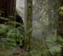 SPN_0977.jpg