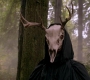 SPN_0997.jpg