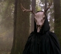 SPN_0999.jpg