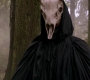 SPN_1004.jpg
