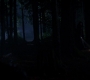 SPN_1124.jpg