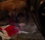 SPN_1384.jpg