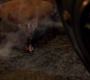 SPN_1385.jpg