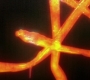 SPN_0180.jpg
