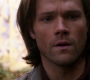 SPN_0483.jpg