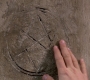 SPN_0617.jpg