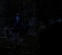 SPN_0749.jpg