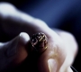 SPN_1336.jpg
