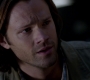 SPN_1380.jpg