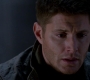 SPN_1409.jpg