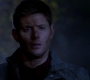 SPN_1426.jpg