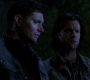 SPN_1449.jpg