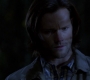 SPN_1461.jpg