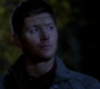 SPN_1462.jpg