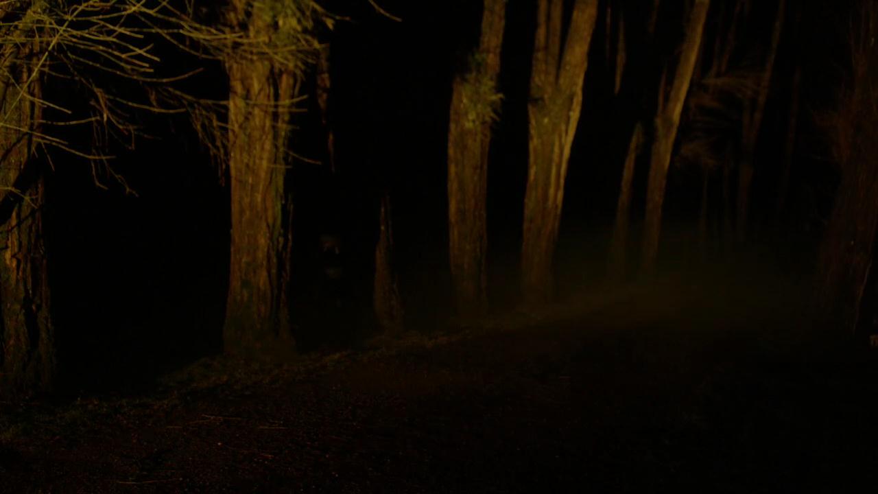 SPN_0001.jpg