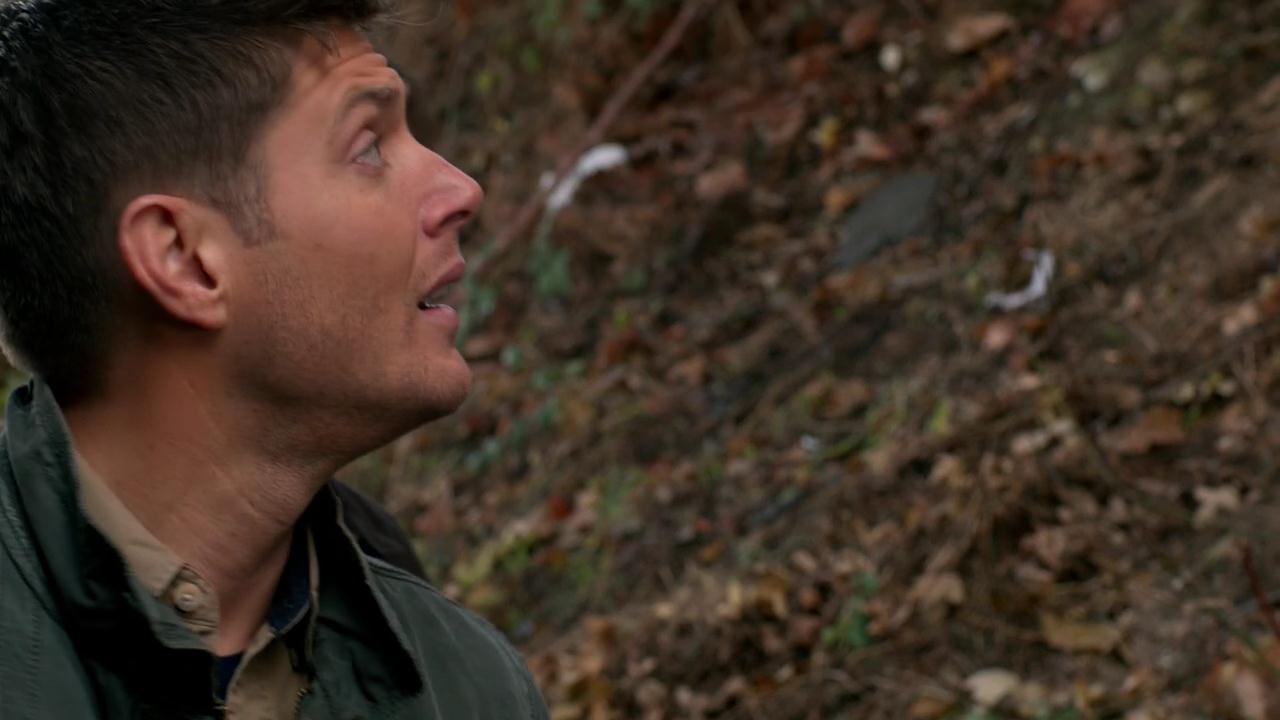 SPN_0133.jpg