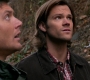 SPN_0139.jpg