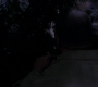 SPN_0623.jpg