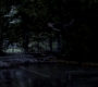 SPN_0636.jpg