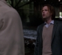 SPN_0665.jpg