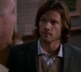 SPN_0728.jpg