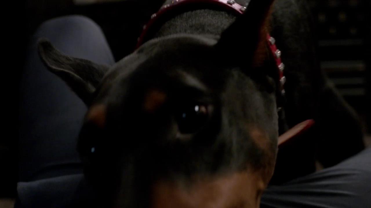 SPN_1341.jpg