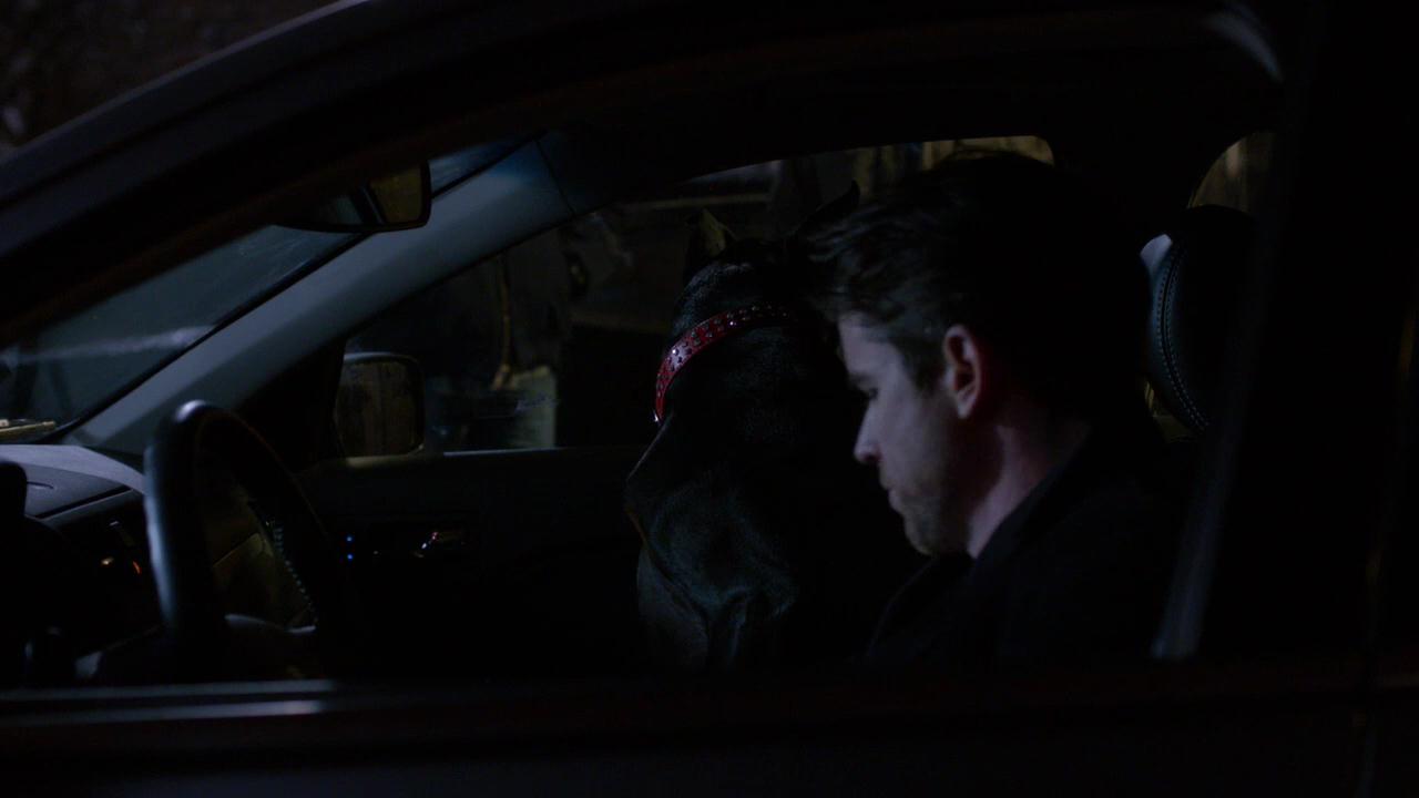 SPN_1411.jpg